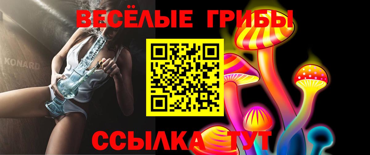 Псилоцибиновые грибы Psilocybe  Вход с VPN  Похвистнево 